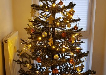 geschmückter Weihnachtsbaum im Haus der avitea