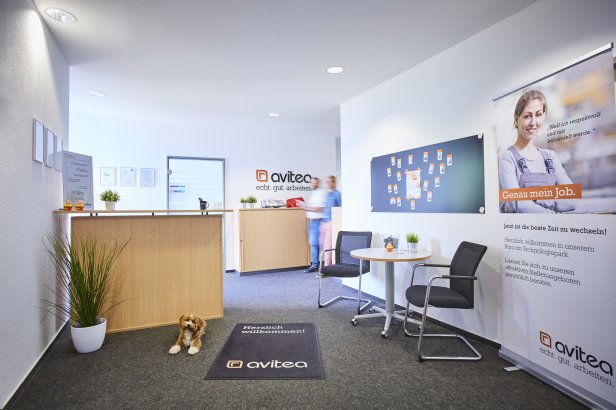 avitea Flur in Paderborn mit Hund